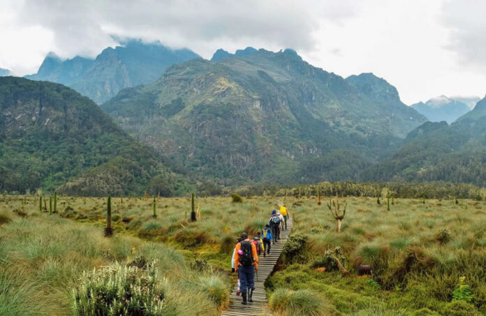 Rwenzori Trekking